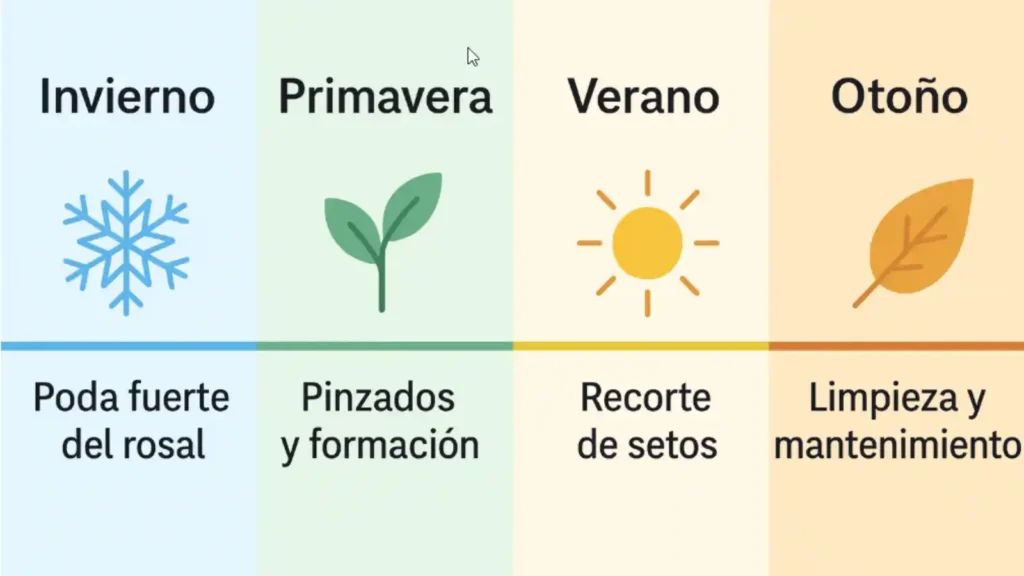 gráfico simple de calendario con cuatro estaciones invierno primavera verano otoño y trabajos de poda recomendados