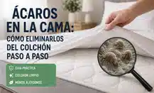 Ácaros en la cama y cómo eliminarlos del colchón paso a paso